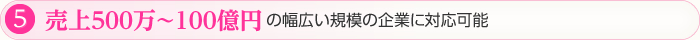 ⑤売上500万～100億円の幅広い規模の企業に対応可能